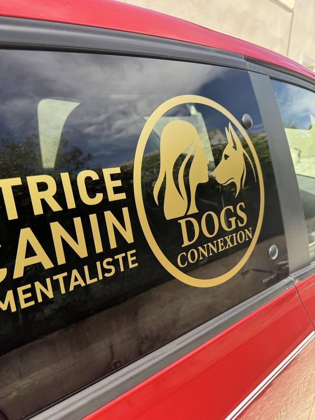 Marquage véhicule — Dogs Connexion : marquage voiture educatrice canin
